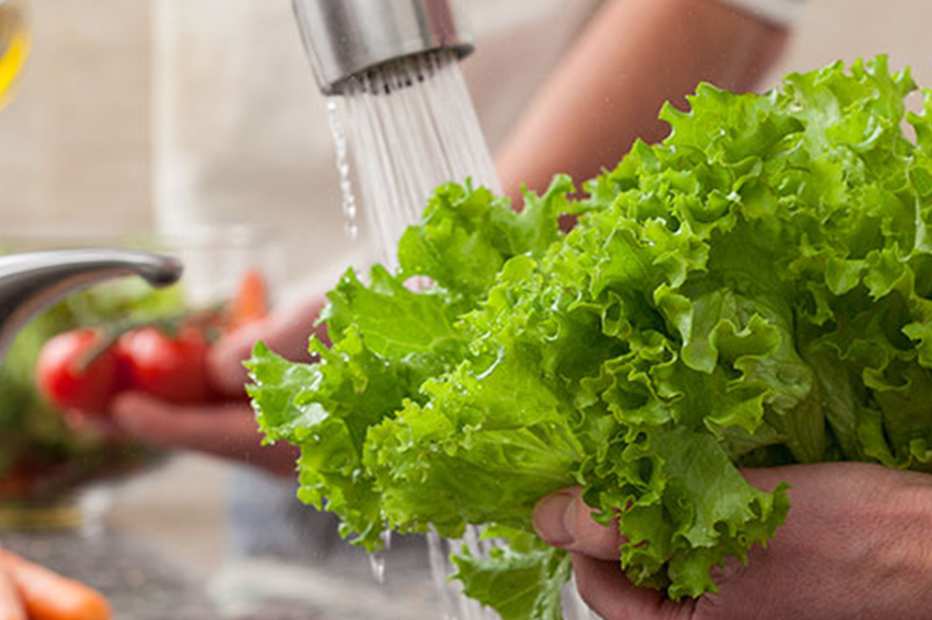 HIGIENE ALIMENTARIA